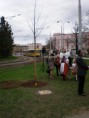 /album/strom-pratelstvi/bory-park-jpg/