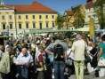 /album/strom-pratelstvi-regensburg-2012/p4283271-jpg/